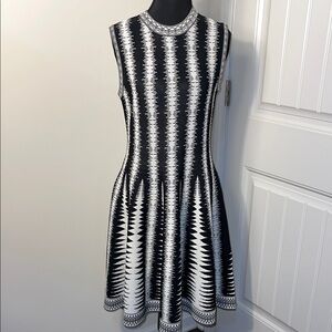 DS Dress: Monochrome Patterned Midi